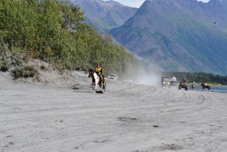 Wheelers and horses CTR 2016